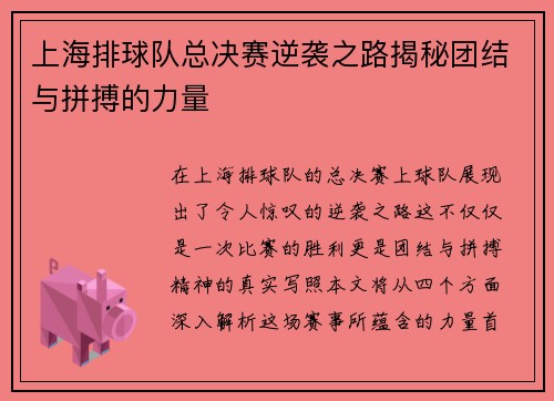 上海排球队总决赛逆袭之路揭秘团结与拼搏的力量